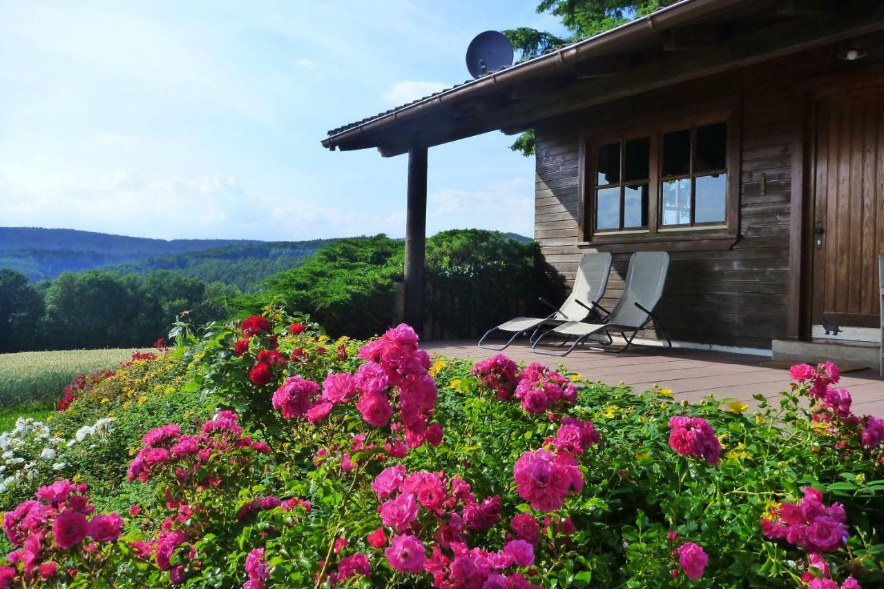 Вілла Ellernhof Im Spessart Stadtprozelten Екстер'єр фото