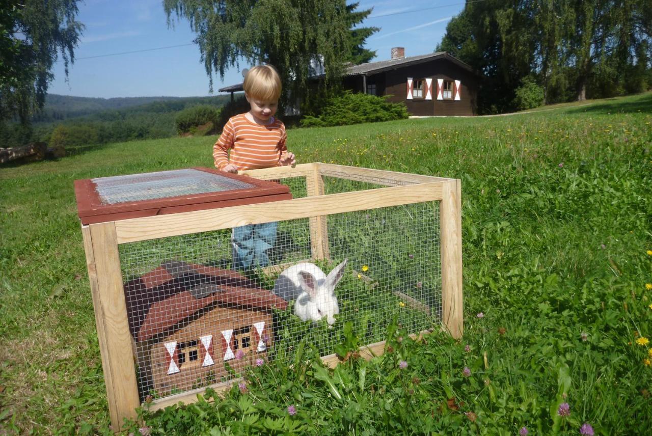Вілла Ellernhof Im Spessart Stadtprozelten Номер фото
